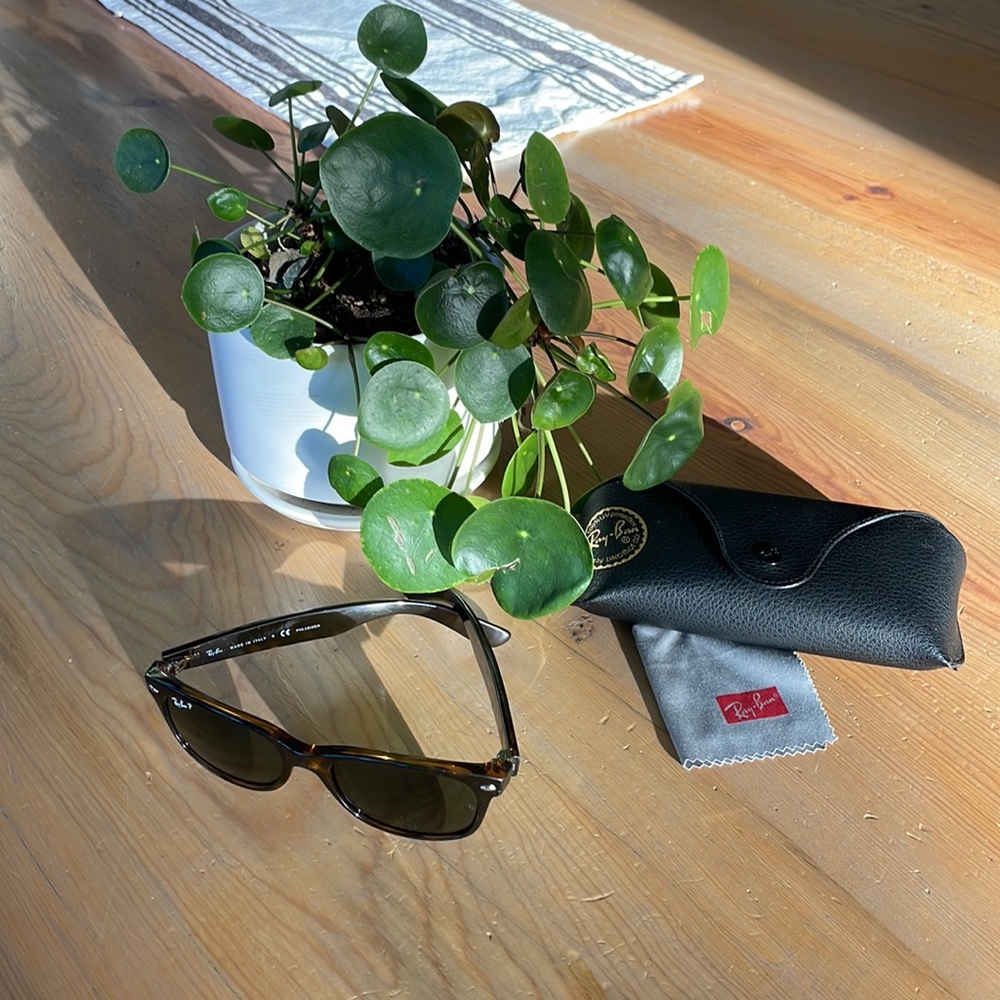 Ray Ban New Wayfarer RB2132 902/58 Polarized